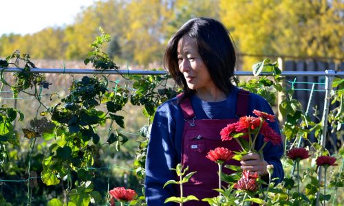 Woodbury starts its first community garden — and fulfills one woman’s dream