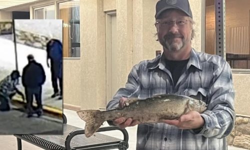 Minnesota fisherman loses walleye down North Dakota storm drain — and gets it back