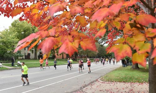 Met Council approves Summit Avenue bikeway as Court of Appeals asks city of St. Paul for more information