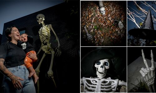 What’s 12 feet tall, dead and taking the country by storm? A coveted skeleton, of corpse