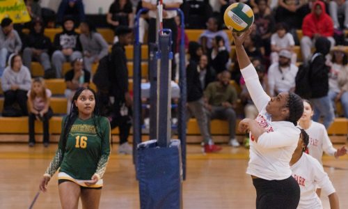 Madison Park captures BCL volleyball title over Snowden