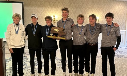 Zach Pelzar, Weston repeat as Div. 3 state golf champions