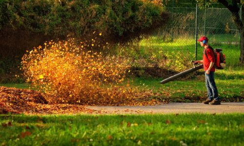 Cambridge ban on gas-powered leaf blowers could go into effect a year earlier than first proposed