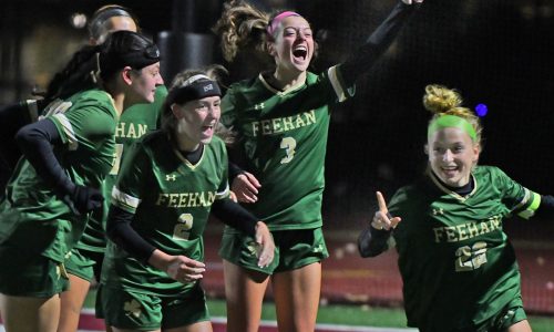 Bishop Feehan nips Hopkinton, 1-0, in Div. 1 girls soccer battle