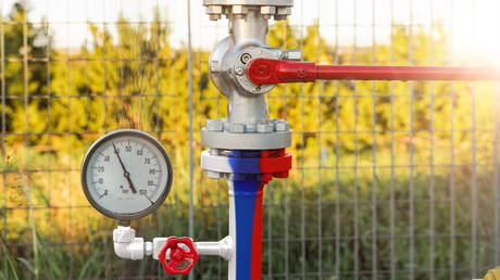 EU nation resumes purchases of Russian gas