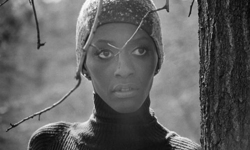 ‘Invisible Beauty’ captures fashion pioneer Bethann Hardison