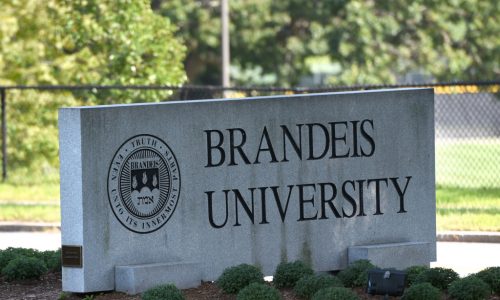 Brandeis University bans Students for Justice in Palestine campus chapter following SJP support for Hamas