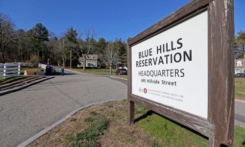 Deer hunting season is starting at Blue Hills Reservation: Park visitors ‘encouraged to wear bright colors’