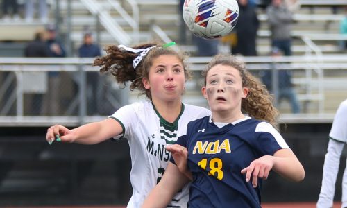 Comeau, Notre Dame (Hingham) win Div. 2 state girls soccer title