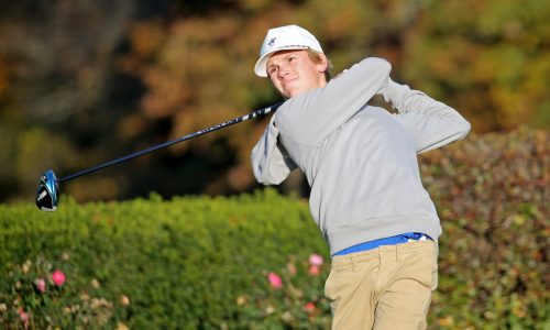 Division 2 state golf: Potter’s 1-over leads way for Dover-Sherborn