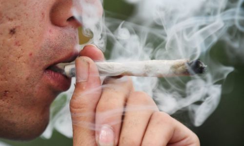 Marijuana use raises risk of heart attack, heart failure and stroke, studies say