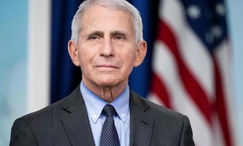 New Email Shows Fauci Adviser Suggesting He Destroyed Records