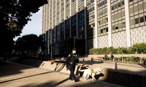 FBI, Capitol police testify in the trial of the man accused of attacking Nancy Pelosi’s husband
