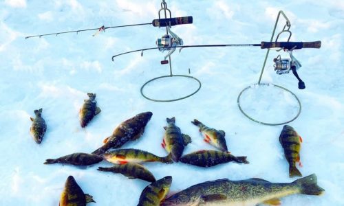 Northern Minnesota inventor hopes ice fishing rod holders catch on