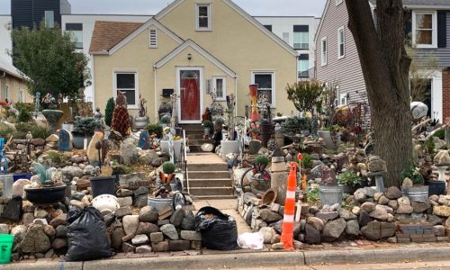 For 30 years, she built a garden of stone. St. Paul wants the boulevard cleared.