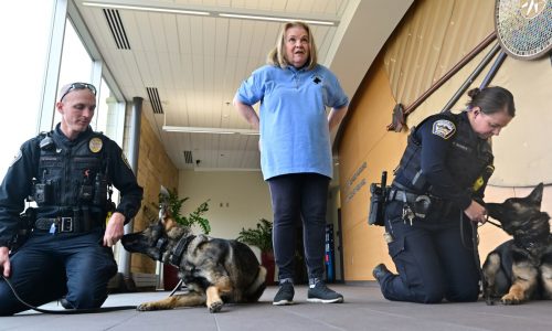 Woodbury woman is driving force behind city’s K-9 program