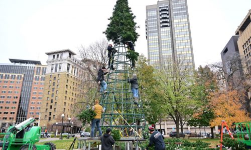 Public invited to Rice Park holiday tree lighting (and Salvation Army’s Red Kettle Kick-Off) on Friday