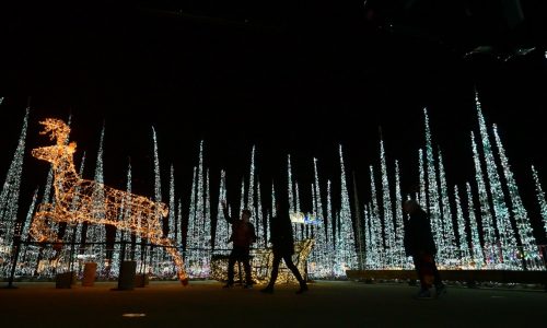 Holiday Arts Guide: Find some festivity and cheer for the whole family at these events