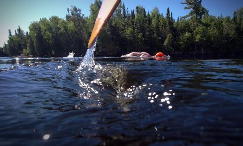 Minnesota adds 20 wild rice lakes and streams to impaired list