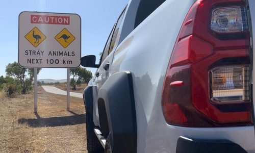 BSCB is in the Outback