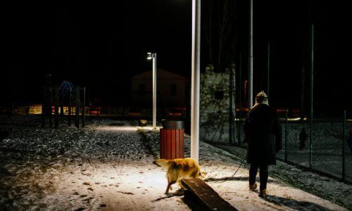 40% of Americans are afraid to walk alone at night — most in decades, poll says