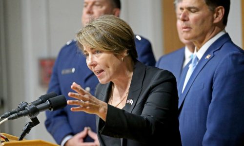 Healey admin wants to study psychedelics for vets with ‘historic’ legislation