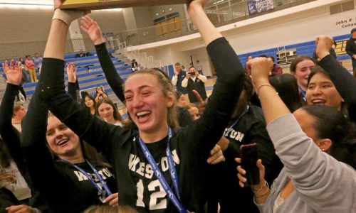 Weston sweeps past Medfield, captures Div. 3 state volleyball title