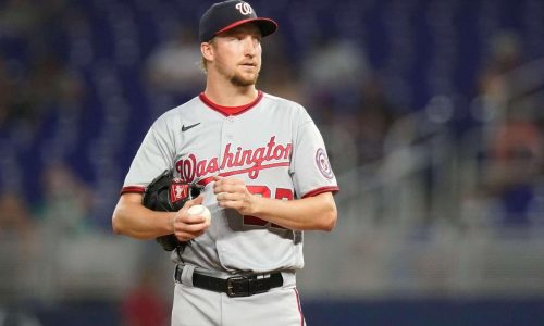 How Erick Fedde expanded his pitch arsenal in Korea to get back to the big leagues with the Chicago White Sox