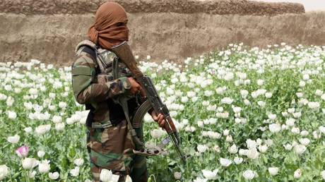 Taliban winning war against opium trade