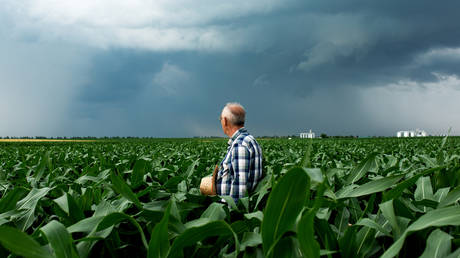 Ukraine may endanger EU farmers – Poland