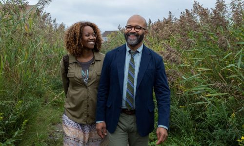 ‘American Fiction’ familiar story for Jeffrey Wright