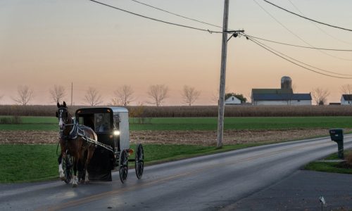 Spending fights, supply chain delays slow mobile health boom