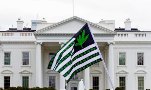 Biden is pardoning thousands convicted of marijuana charges on federal lands and in Washington