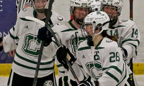 Division 1-2 girls hockey preview: Expect heavyweight Div. 1 battles after realignment