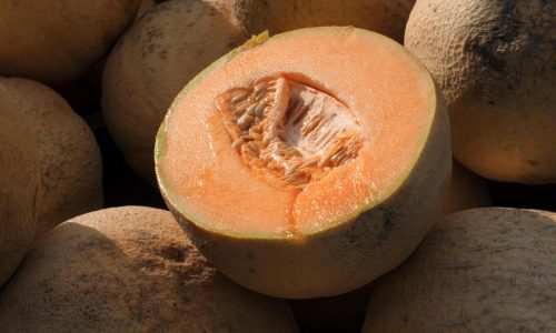 Don’t eat pre-cut cantaloupe if the source is unknown, CDC says, as deadly salmonella outbreak grows