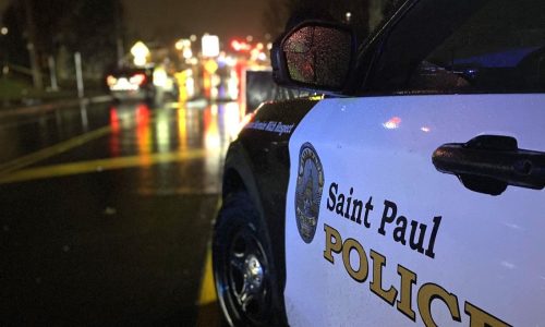 Man and his dog hit by a car and killed in St. Paul on Sunday night
