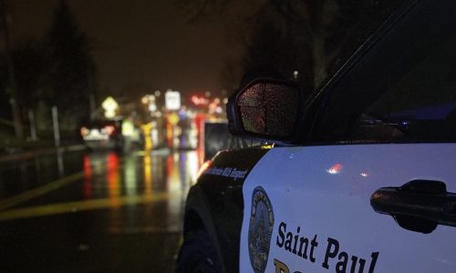 St. Paul Christmas Eve crash: Police ID 65-year-old pedestrian and his dog, who were both killed