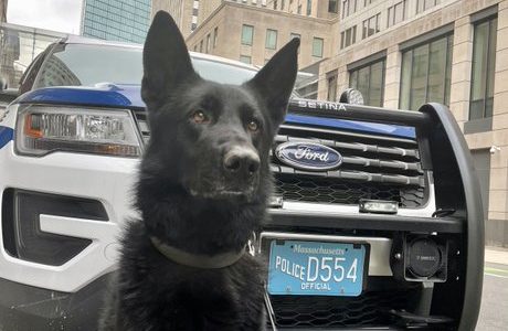 Two Southie churches broken into, K-9 Duke helps bust suspect in basement: Boston Police