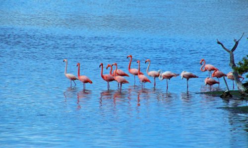 Travel: Taking a superyacht to tour the Galapagos Islands in luxury