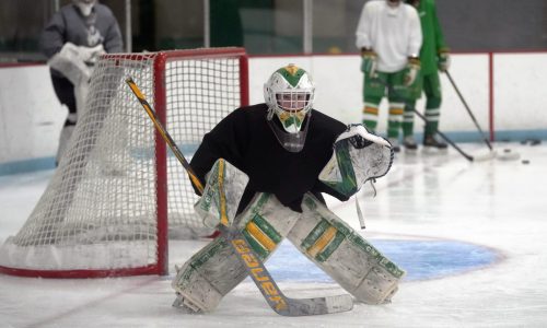 Death of Adam Johnson sparks renewed interest in guard mandates for youth hockey