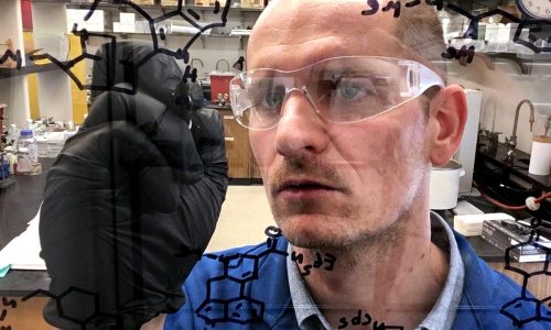 New psychedelic-like drugs: All treatment, no trip?