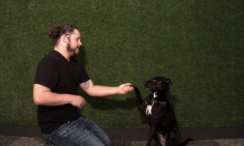 Local filmmaker Charlie Ainsworth wants to make the Twin Cities the ‘hotbed of Deaf Cinema’