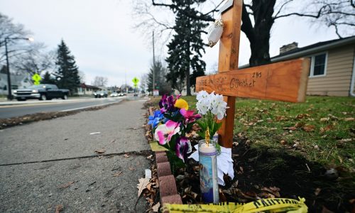 Intersection where St. Paul man and dog were killed had been darkened by copper wire thieves