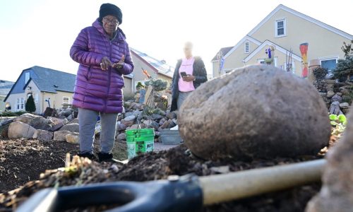 St. Paul: Iris Logan has until June 6 to regrade her front yard along Sherburne Avenue