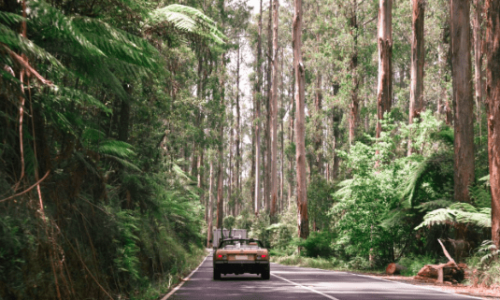Is It Worth Investing in Classic Cars?
