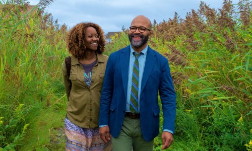 ‘American Fiction’ review: Jeffrey Wright shines in a comedy of a fake Black memoir’s rise to the top of the bestseller list