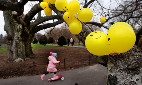 Massachusetts in store for ‘pretty mild’ holiday week, no inclement weather for travelers