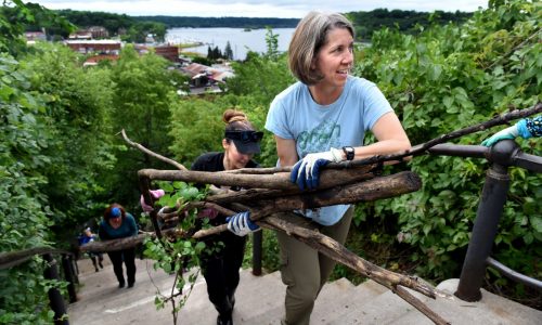 Calling all volunteers: Minnesota DNR has a job for you