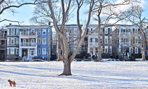 Sticker shock: Boston homeowners seeing higher property taxes in 2024