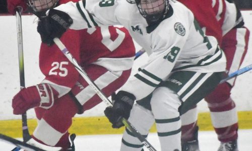 Paul Dzavik, solid defense lifts Hingham past Marshfield